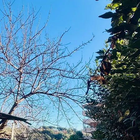 Benny In The Park, A Pochi Minuti Da Gemelli,stadio Olimpico, E Stazione Fl3 Per Centro Citta E San Pietro *